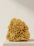 Natural Greek Sea Sponge | Set of 2