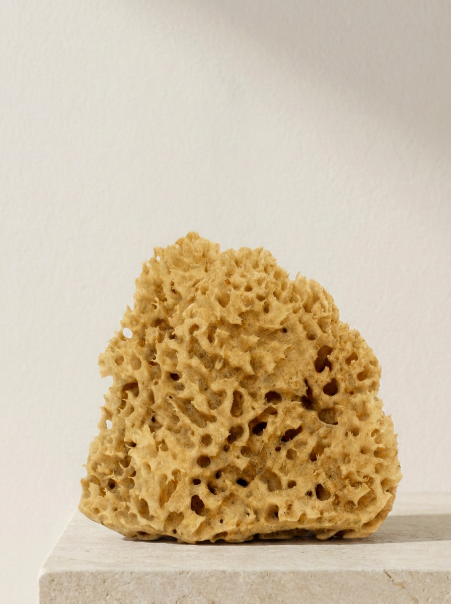 Natural Greek Sea Sponge | Set of 2